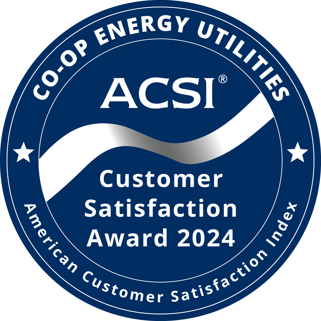 acsi-customer-satisfaction-award